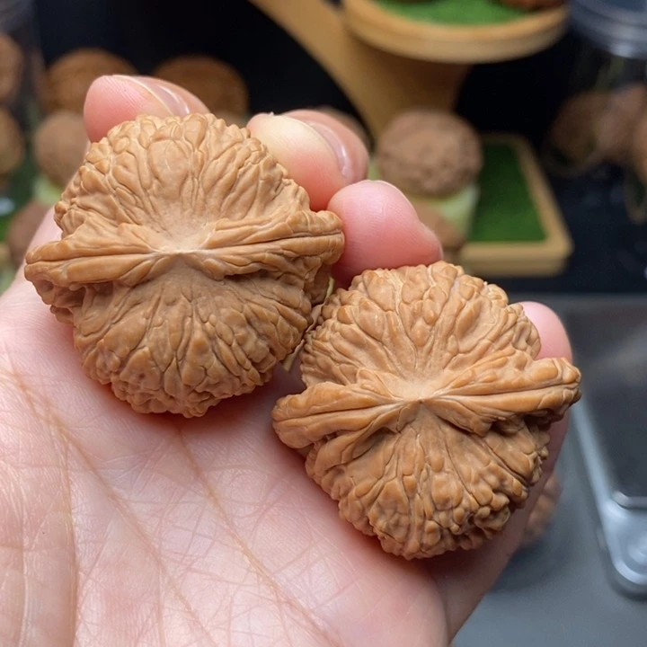 把件文玩核桃你***？白狮子41