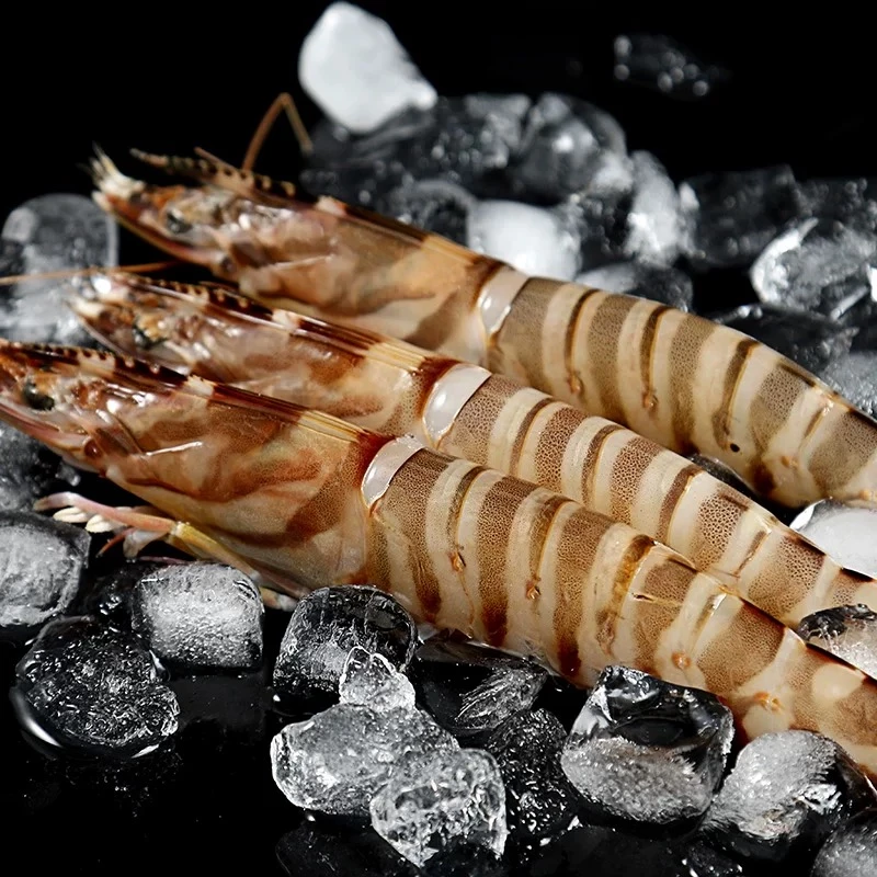 【大龙亲选】基围虾竹节虾斑马虾（保鲜不保活）