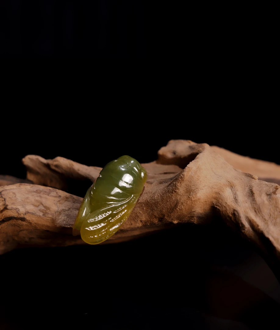 茶黄色 立体雕小蝉 天然缅甸a货翡翠