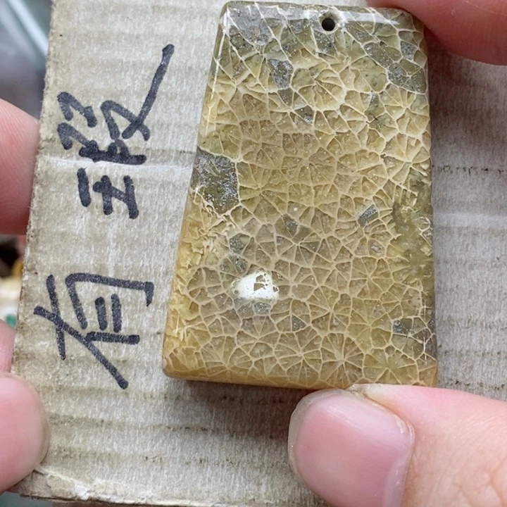 硅化珊瑚（珊瑚玉）未镶嵌颈饰y****