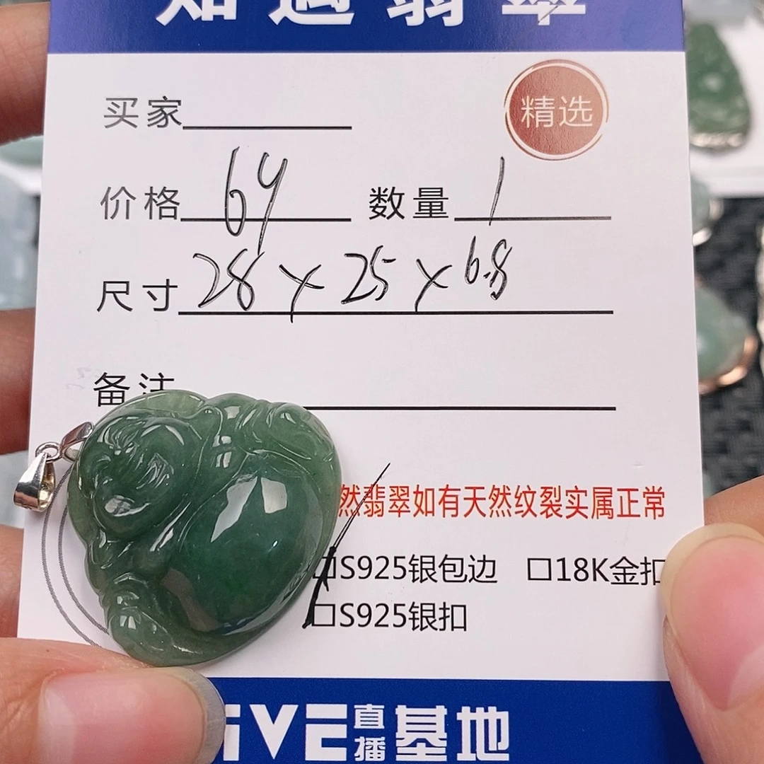 翡翠银S925镶嵌颈饰