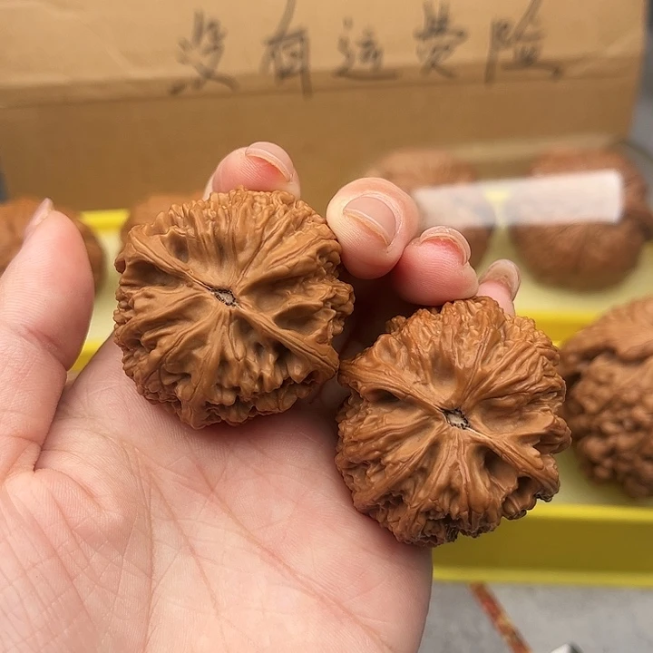 文玩核桃把件38+皇家正元