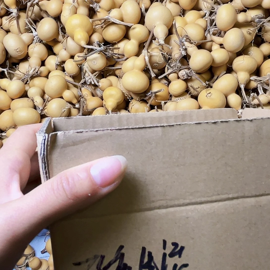 改***活小美葫芦七个小葫芦