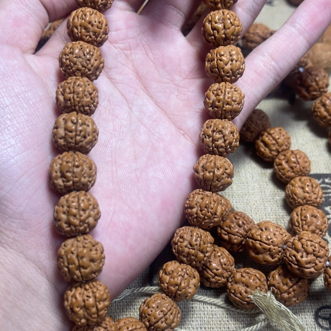 手串猴头核桃金刚