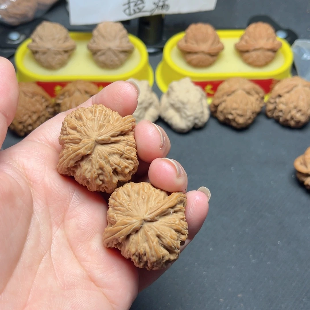 文玩核一物一拍37尺全品小白狮小