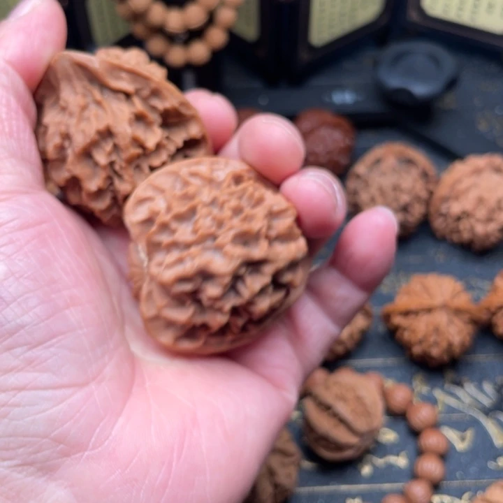 J****核桃秦岭南北缘是指长江