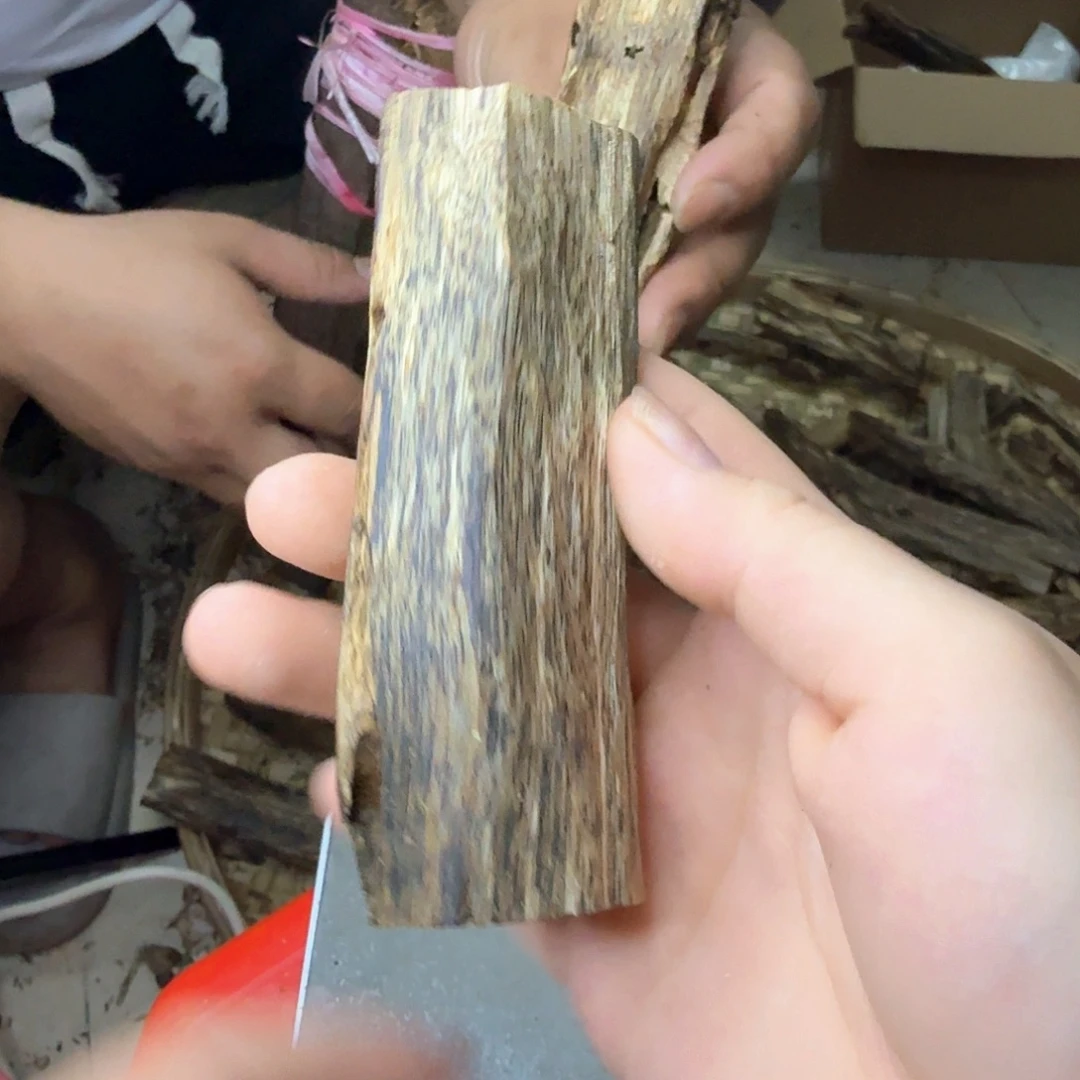 块料块料块料块料