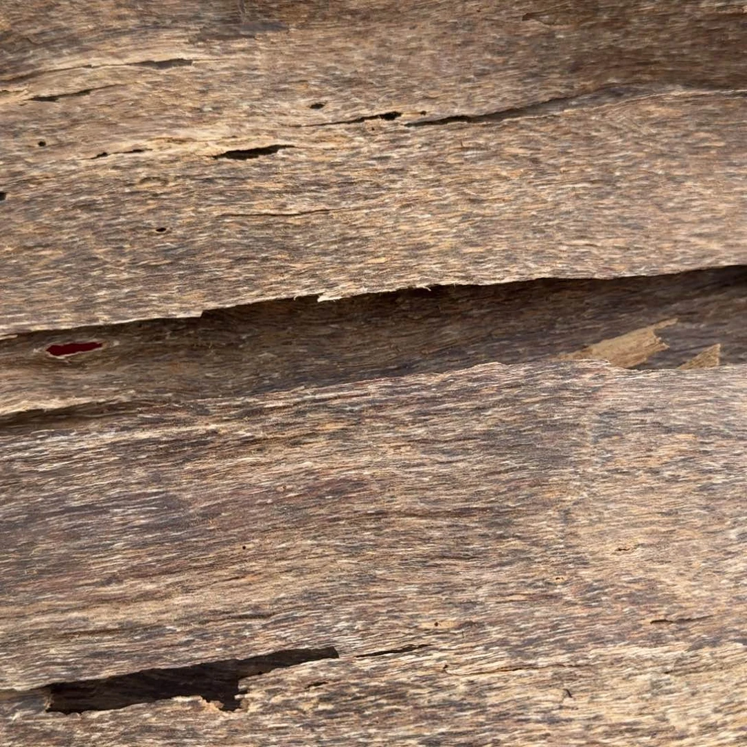 海南天然野皮油20克一份