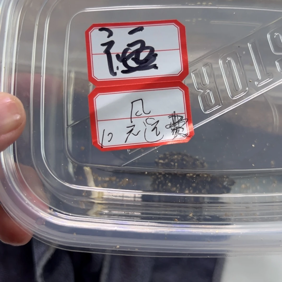 ****川母绿毛龟福袋中奖者
