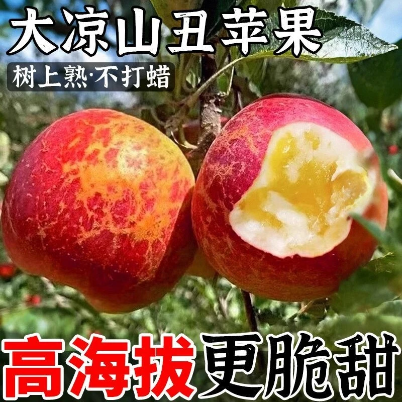 【新鲜采摘】正宗四川大凉山盐源县冰糖心丑苹果脆甜多汁冰糖心苹果