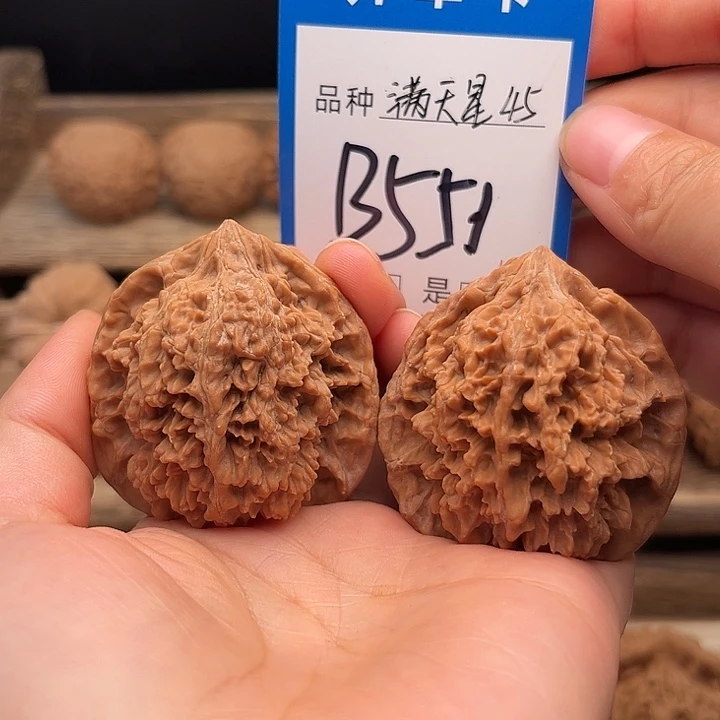 吊坠文玩核桃全品白茬满天星45