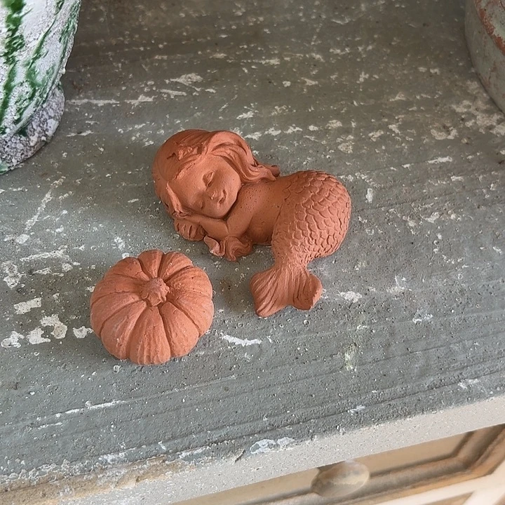 许纯的花房 美人鱼+南瓜