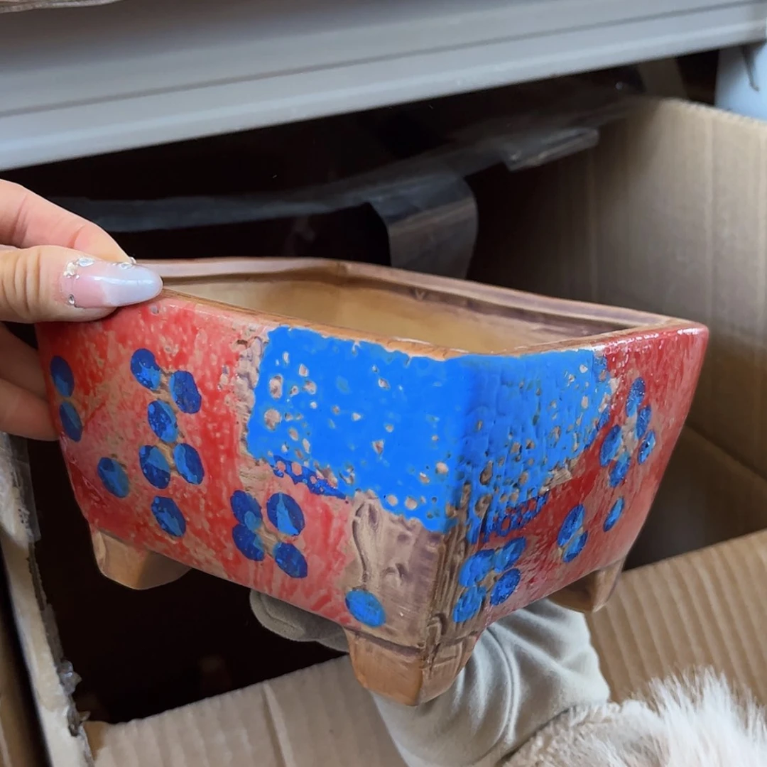 【闪购商品】红陶福利