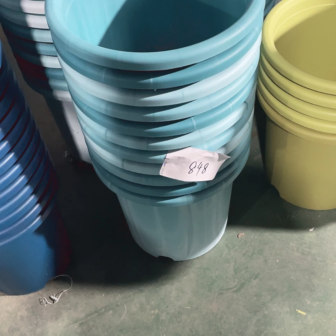 编号是848号的848号的