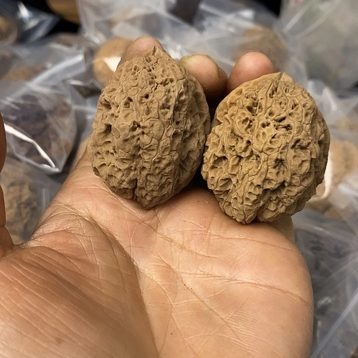 核桃云南铁核桃基地74