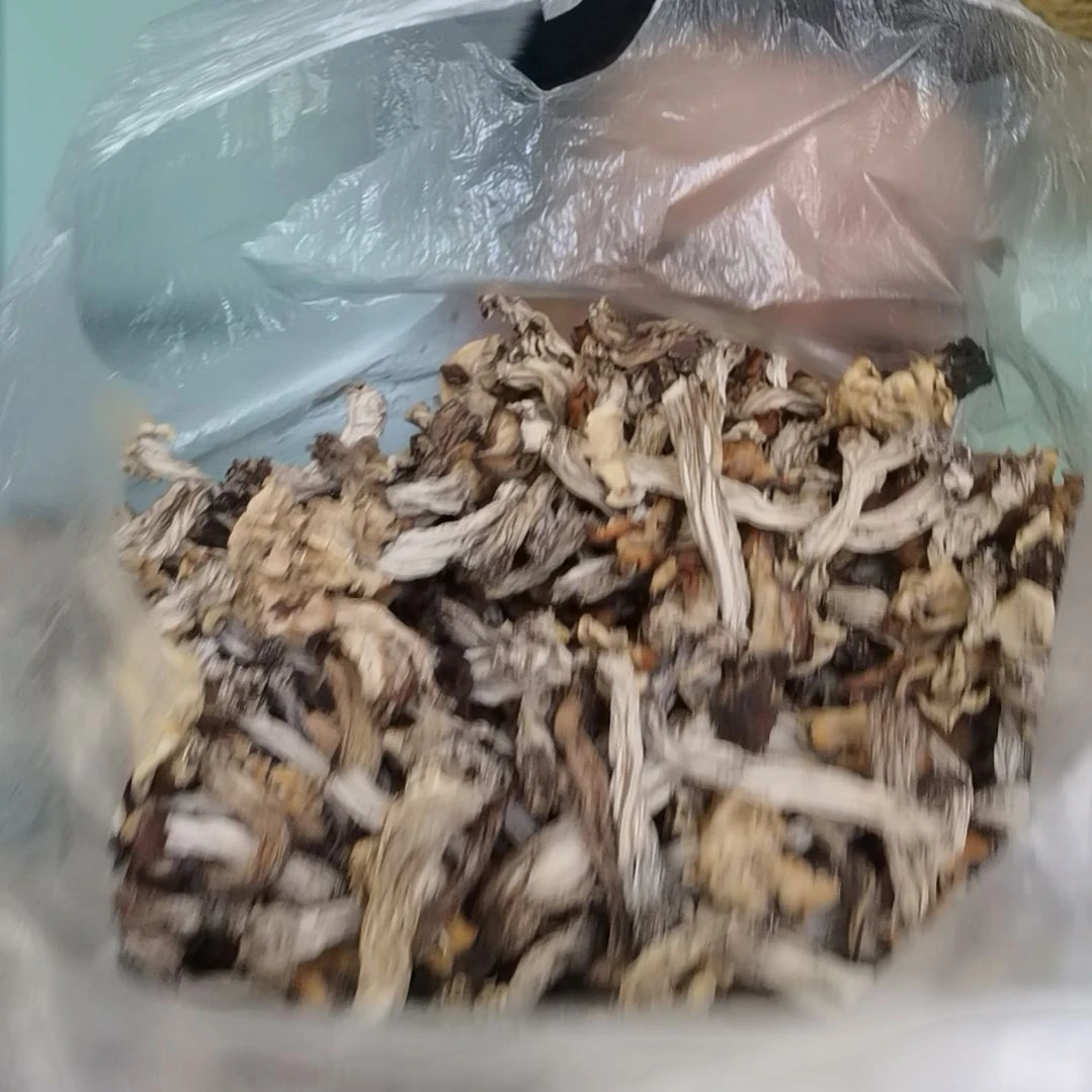李***秀干马鞍菌250克中国大陆
