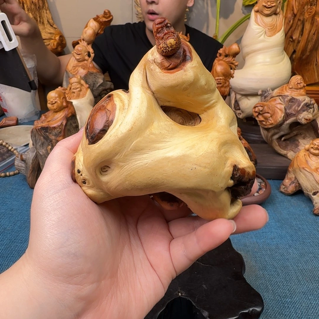 柏木（崖柏）关注一下