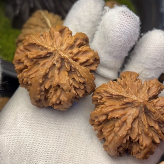 杠***花文玩核桃把件秦岭核桃6