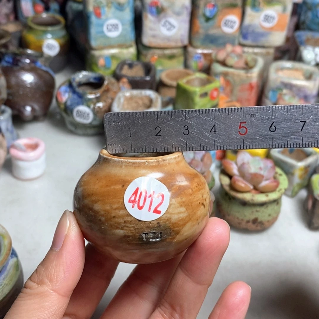 拍5送一个小礼物