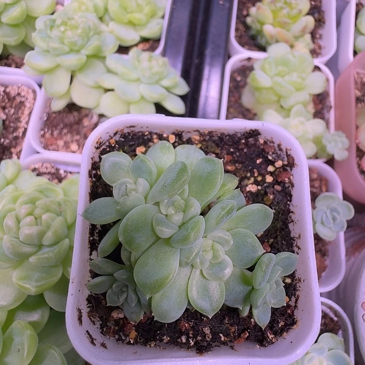 现金财富密码专拍