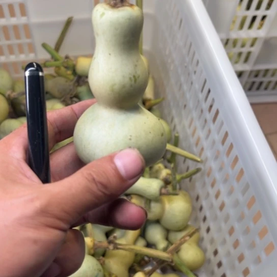 开***·股吧是我最爱吃最喜欢