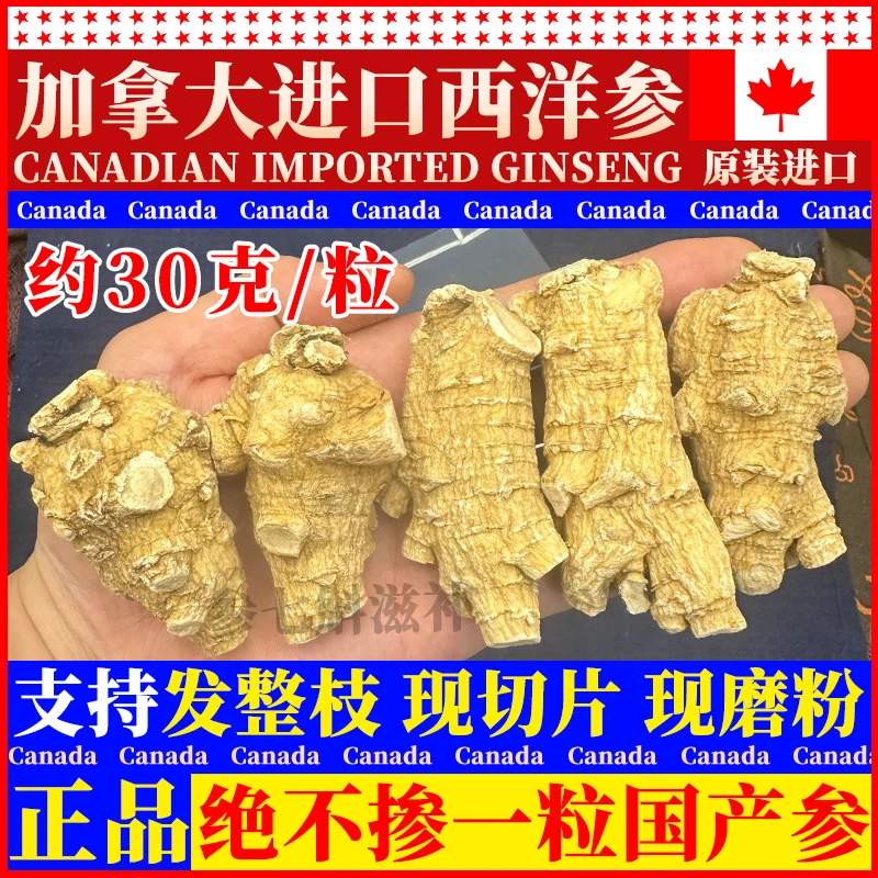 【30克/粒西洋参】正宗加拿大进口西洋参煮汤泡水现场切片磨粉