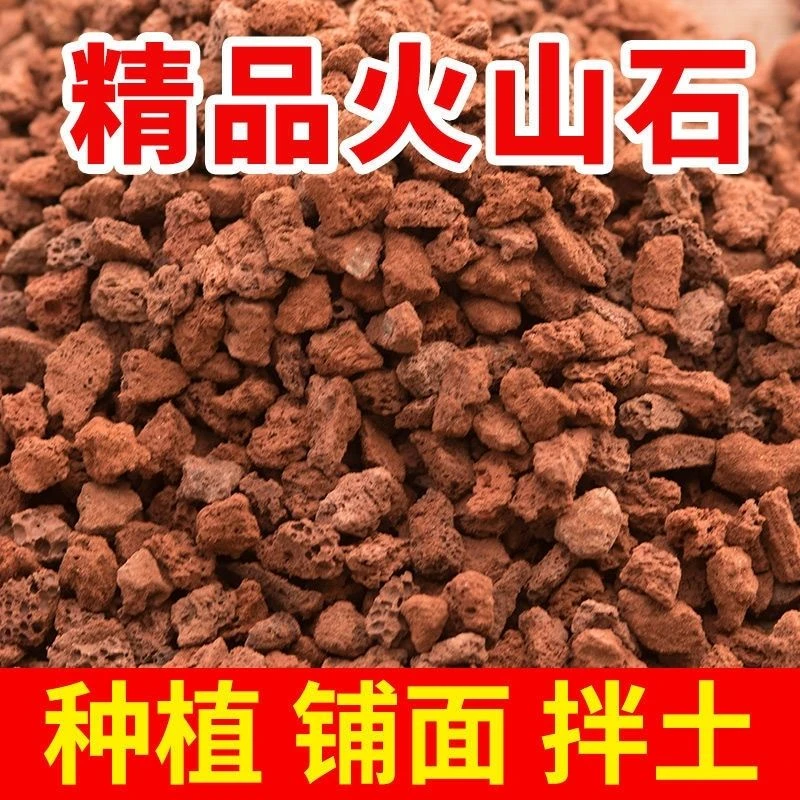 火山石颗粒兰花专用多肉铺面鱼缸盆栽营养火山岩过滤乌龟垫底造景