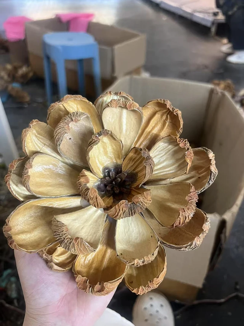 油画莲单花无杆 配龙枣枝绝美 拍下带胶棒