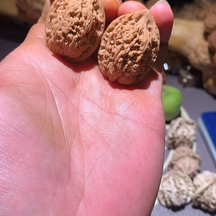 桃核吊坠蚂蚁王31