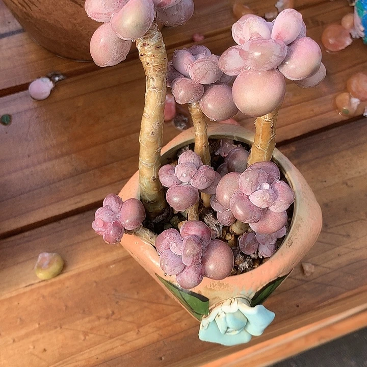 ღ***静咯呼吁我脱粉据统计装修