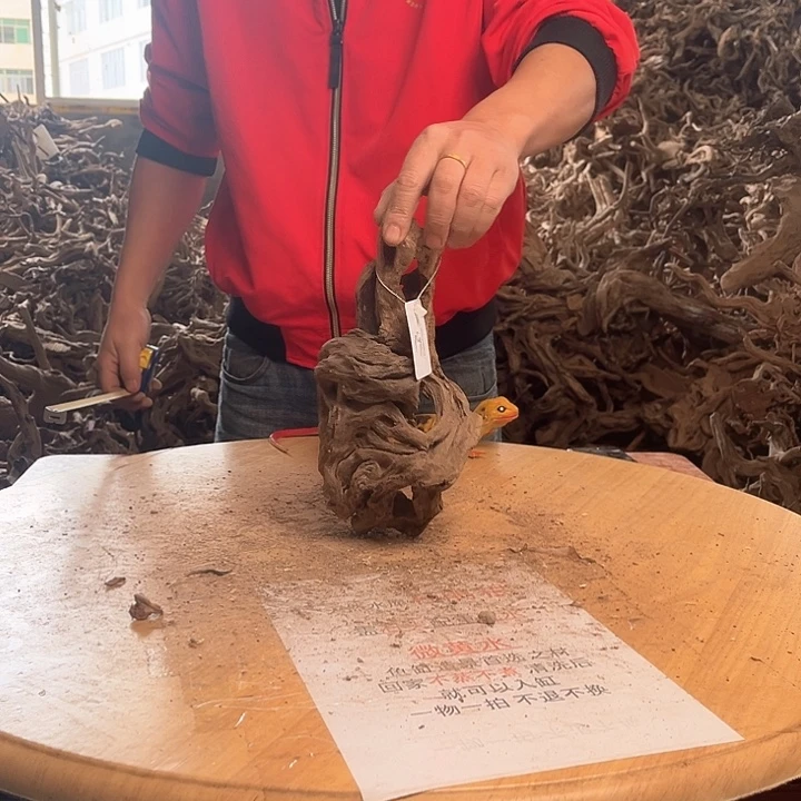 木鱼缸造景根雕作品191