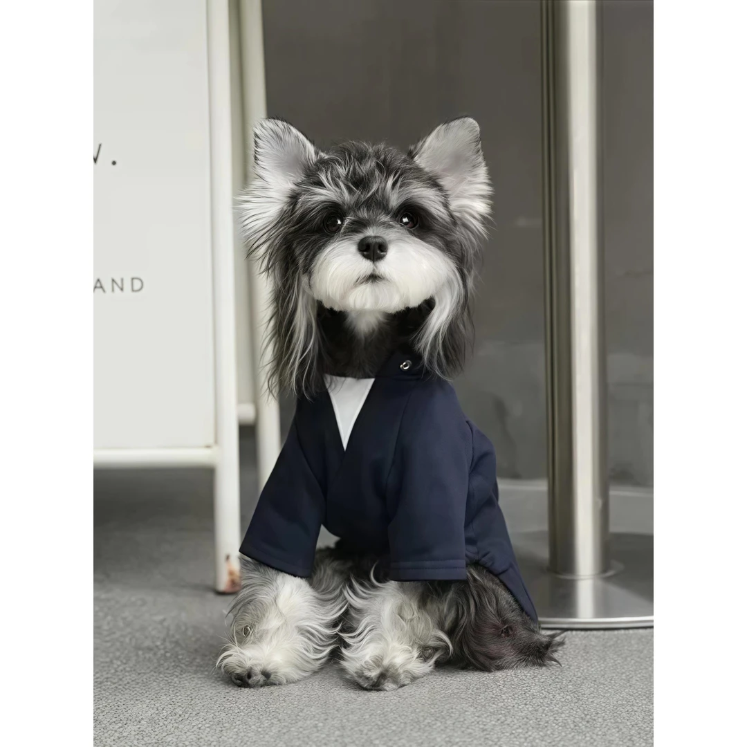 2025新款小狗衣服雪纳瑞泰迪博美约克夏LU感刺绣假星星狗狗衣服