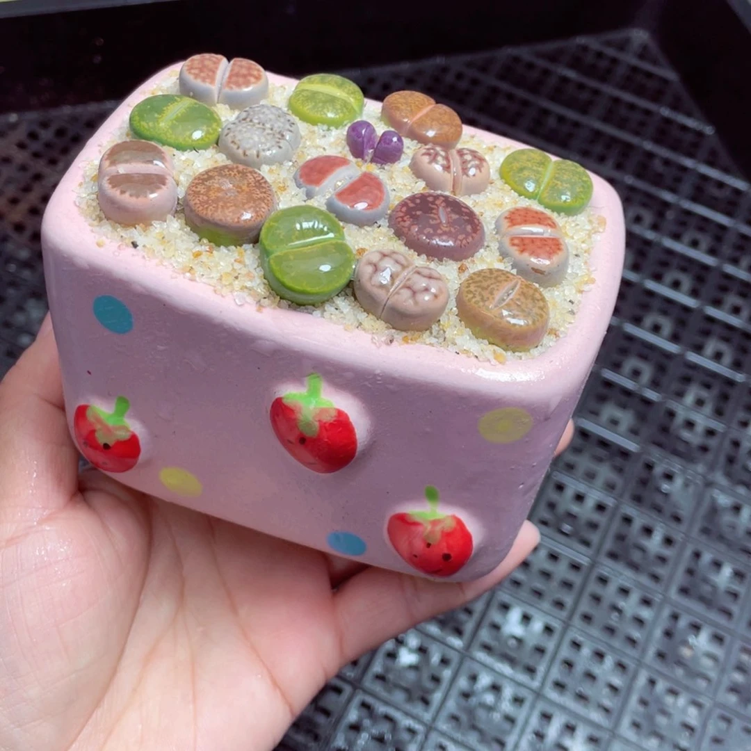 w8585 零下地区拍保温箱-15支持寄养