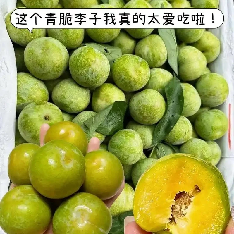 （张家港一小时送货到家）青李子一份（约300克）