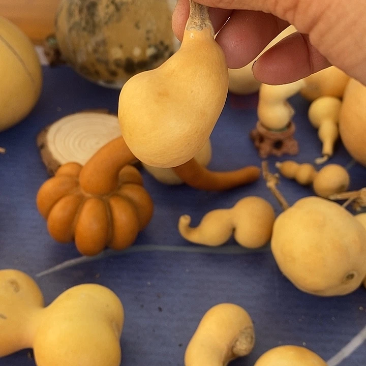 @***瓜葫芦手把件小猪摆件