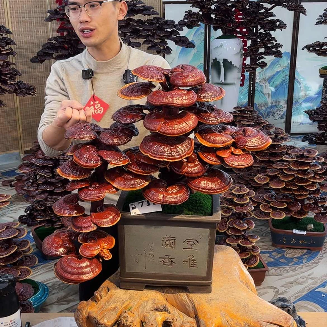 【闪购商品】85888