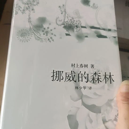 闪购闪购闪购闪购。挪威的森林8