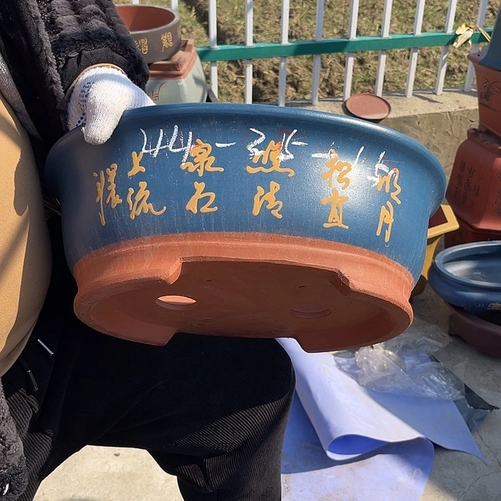 紫砂花盆紫砂花等