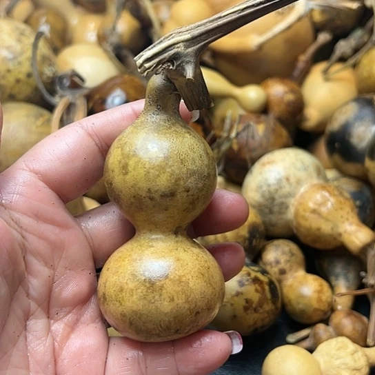 ꧁**꧂葫芦葫芦葫芦葫芦