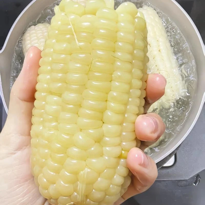 云南白糯玉米毛重2500克软糯香甜新鲜白糯玉米云南省