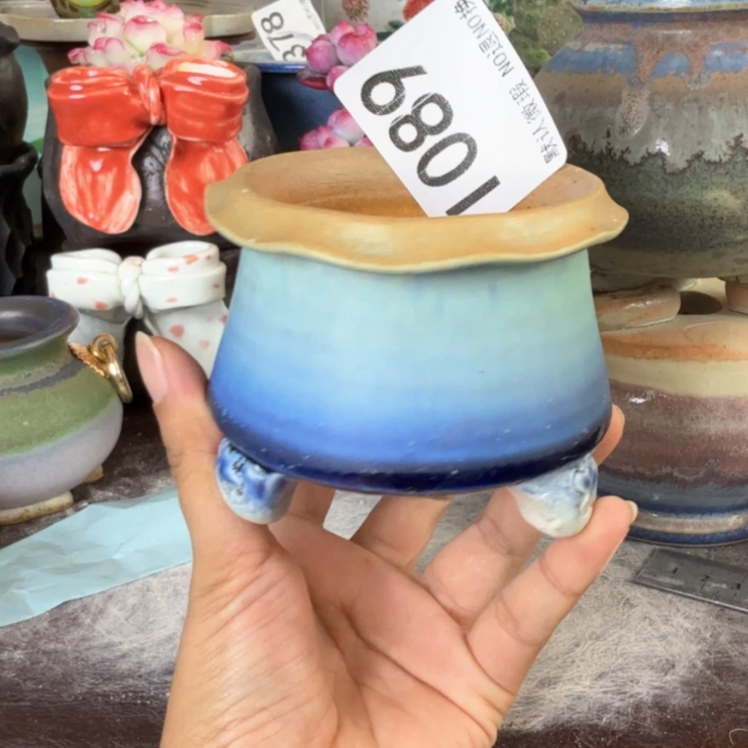 重庆小燕子欢迎大家089