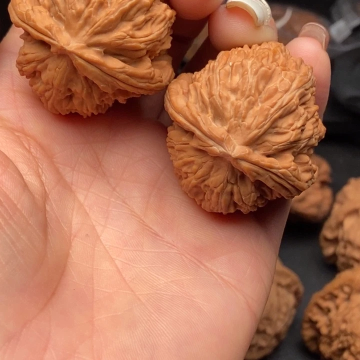 张***r文玩核桃把件白狮子