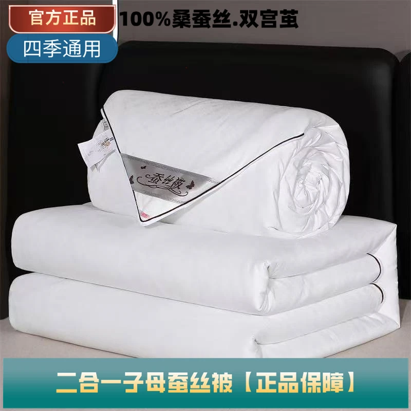 出口蚕丝被100桑蚕丝夏凉空调春秋加厚被单子母双人被子二合一被.