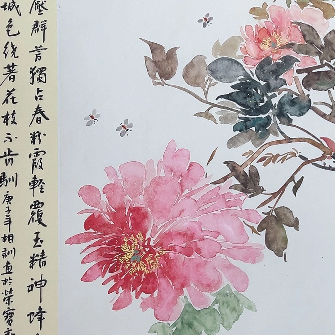 横款惊喜不断啊哈哈啊