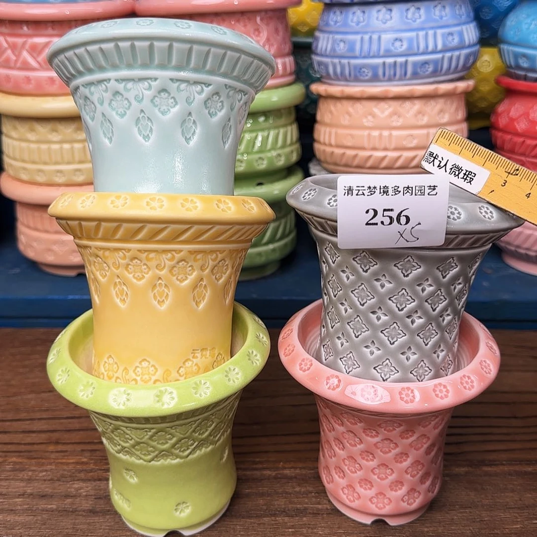 【闪购商品】红陶素**年256 5个