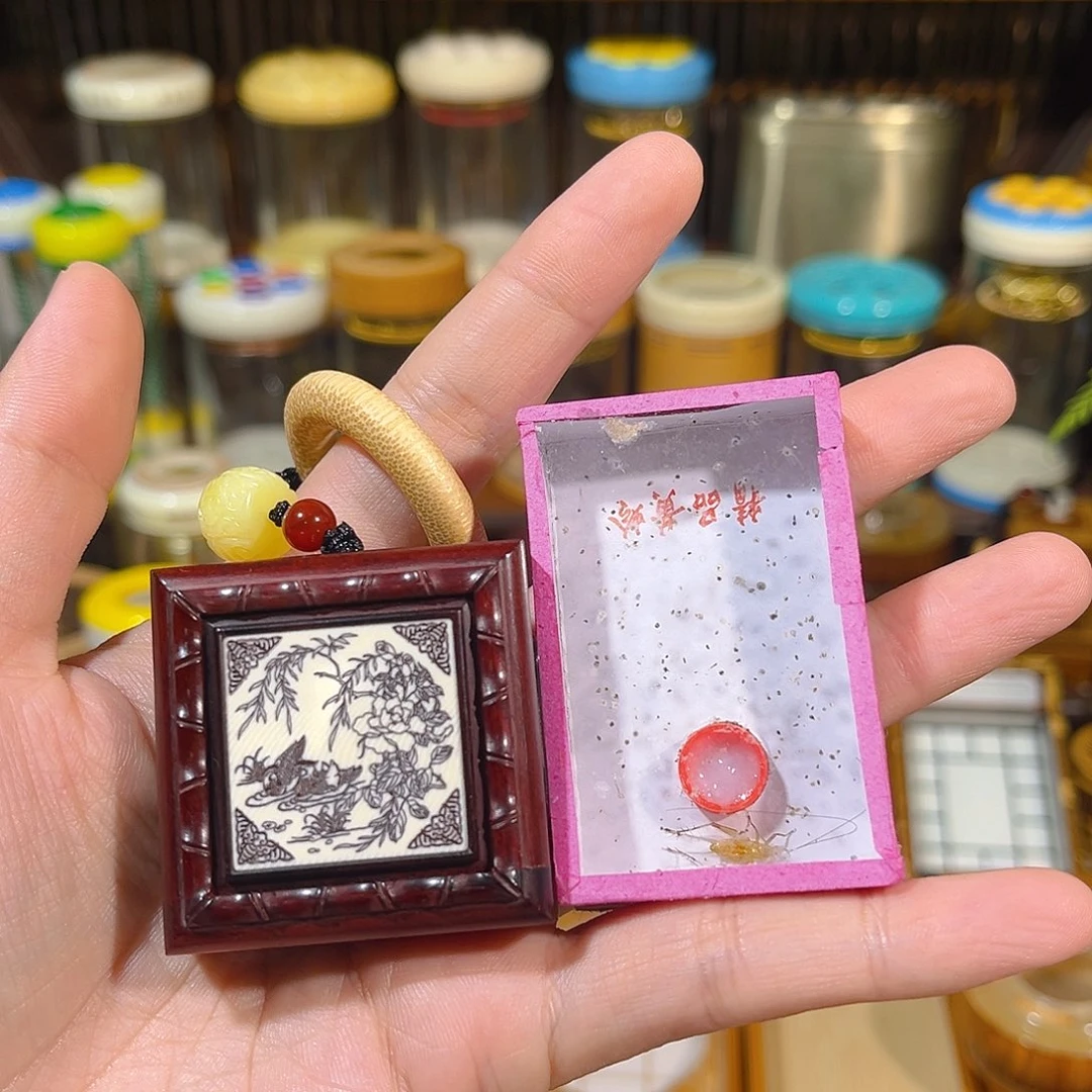 蟋蟀拇指黄蛉盒+黄蛉