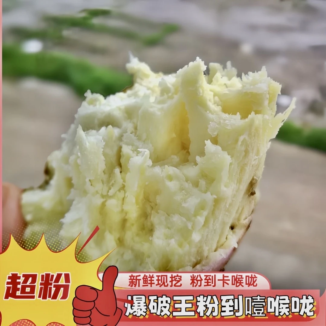 高州白皮爆皮王番薯白心面包王红薯新鲜粉糯香现挖农家板栗地瓜