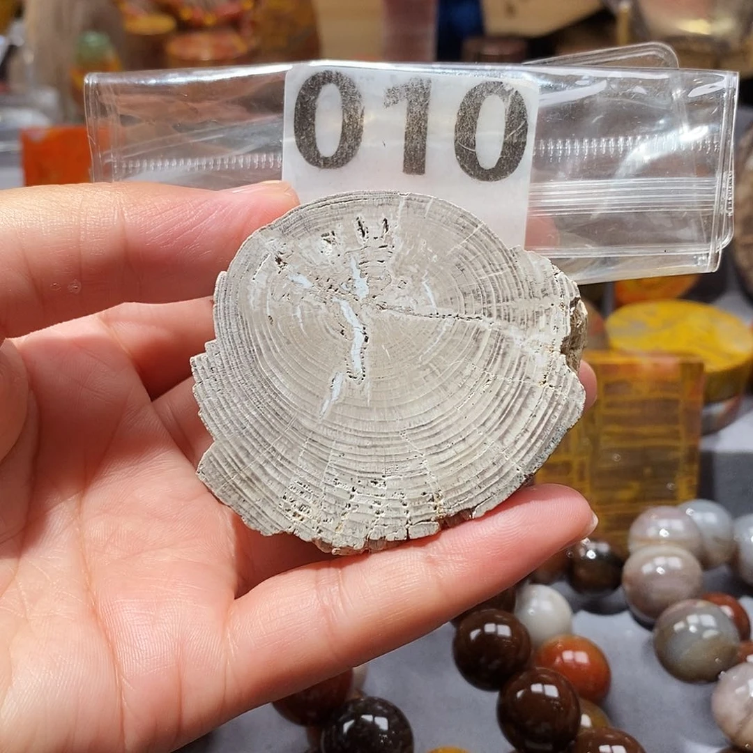 硅化玉天然北票硅化玉原石未镶嵌