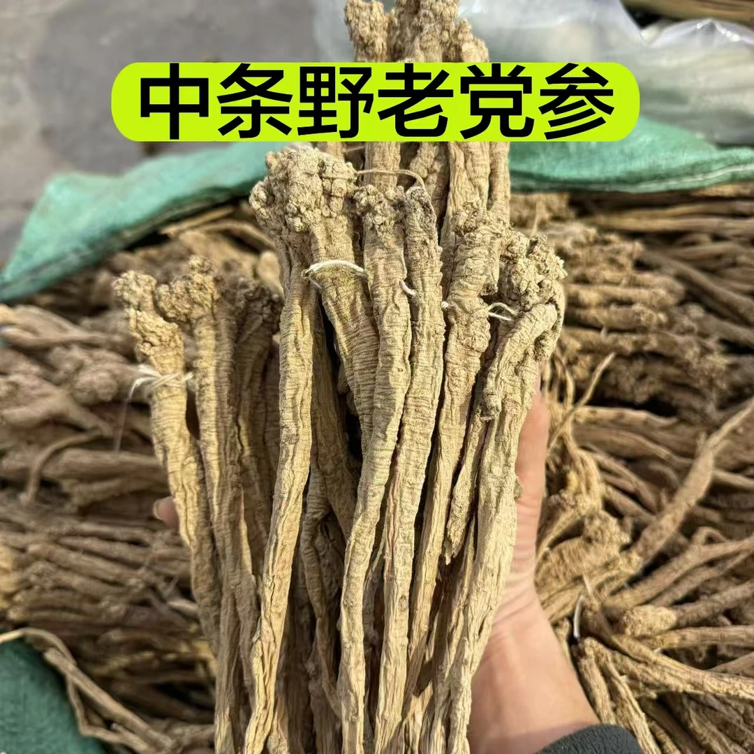 【中条野老党参】甘肃大山里面采挖精选正品野党参250克包邮