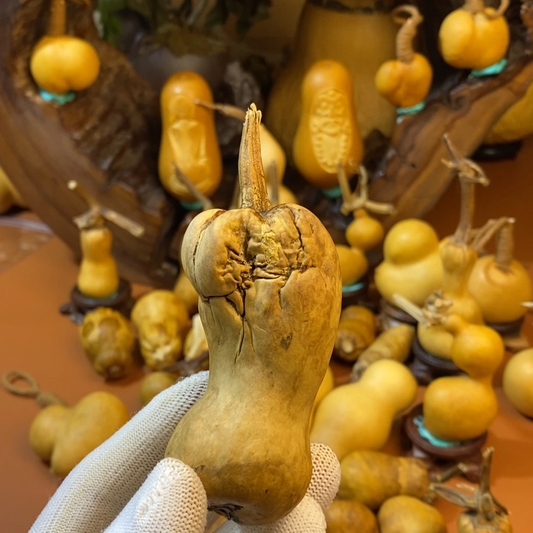 三***泰哭了教练呀教练咯咯